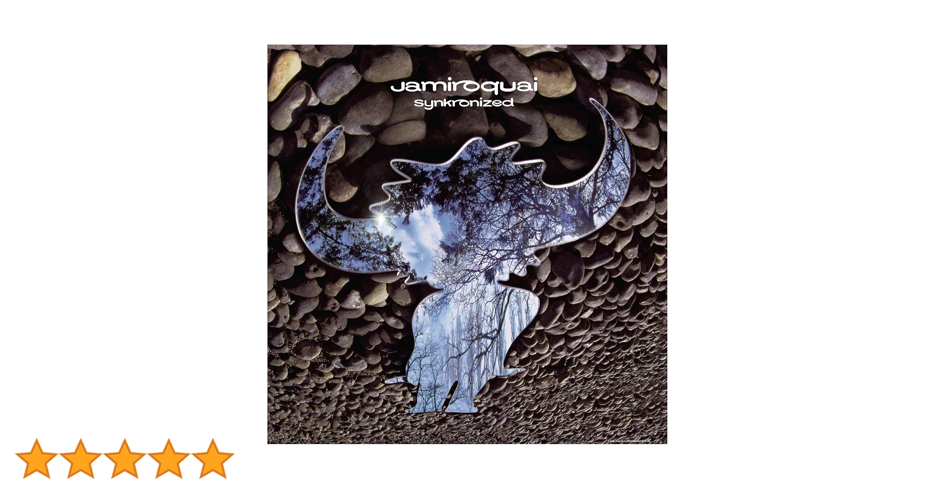 Synkronized: Jamiroquai: Amazon.ca: Music